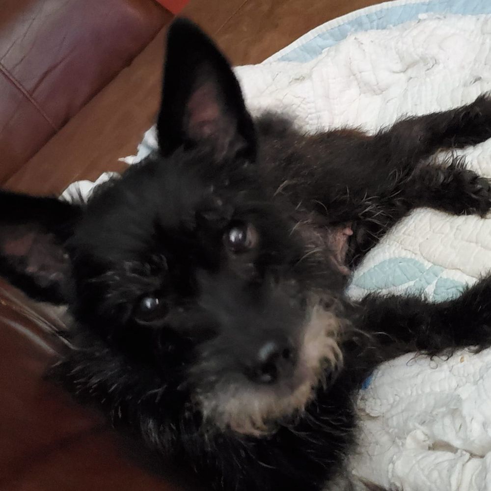 Meet your Posher, Peggy